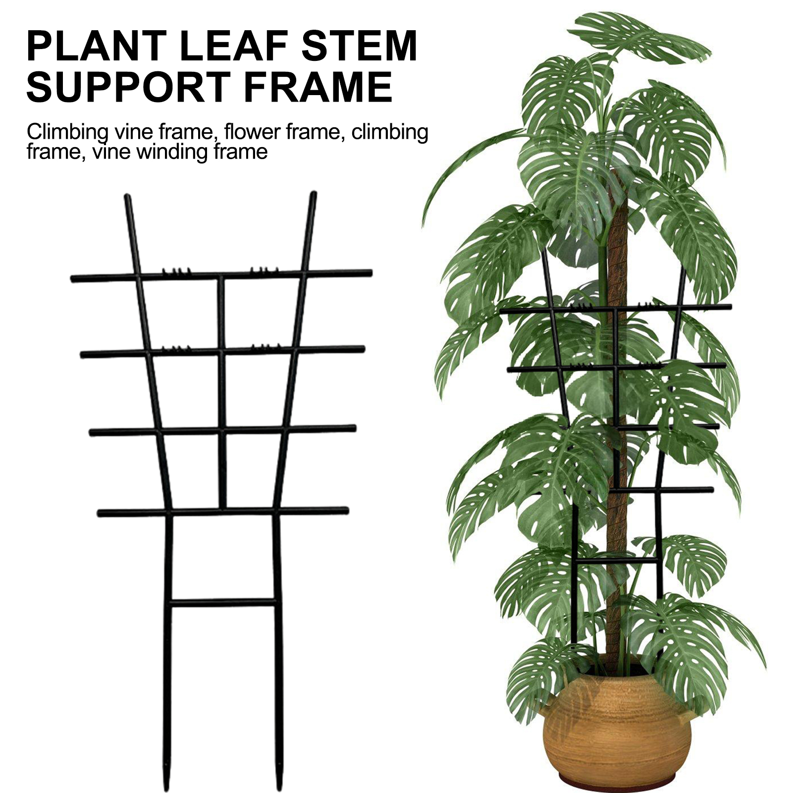Variegated Monstera Node - Plastic Climbing Plant Trellis Black 1PCS