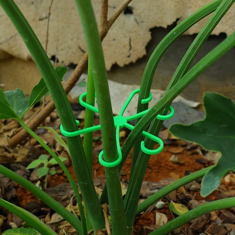 Variegated Monstera Node - 4pcs Plant Stem Support Clips Flower