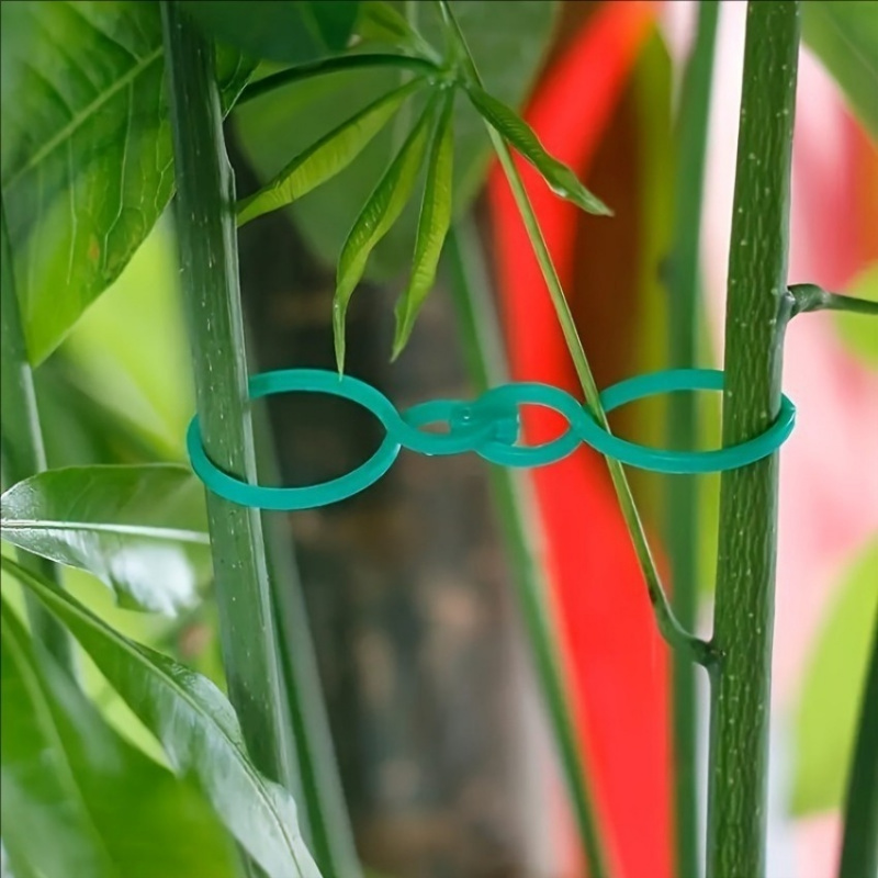 125Pcs Garden Plant Support Ki - Plant Parent Kit บทวิจารณ์และราคา