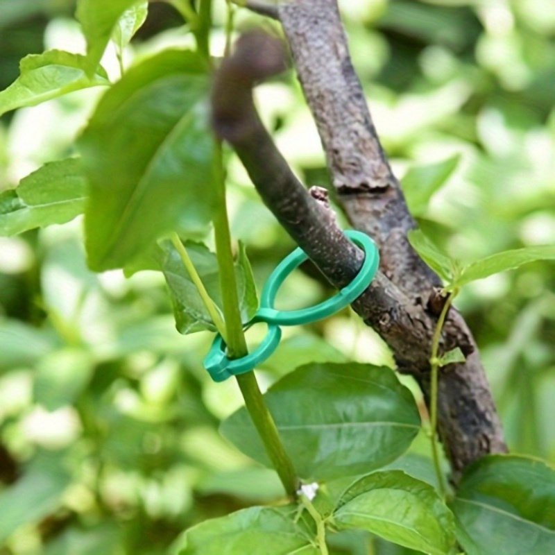 125Pcs Garden Plant Support Ki - Plant Parent Kit บทวิจารณ์และราคา