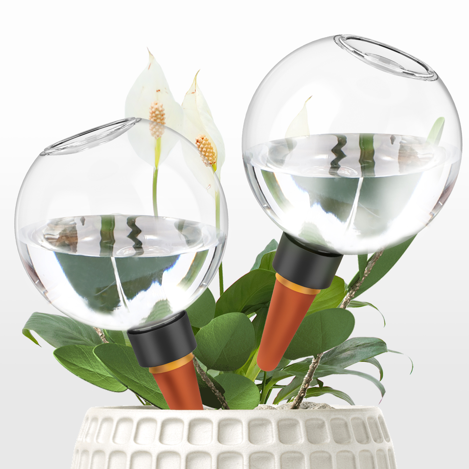 2/4Pcs 500ML Automatic Drip Ir - Plant Parent Kit บทวิจารณ์และราคา