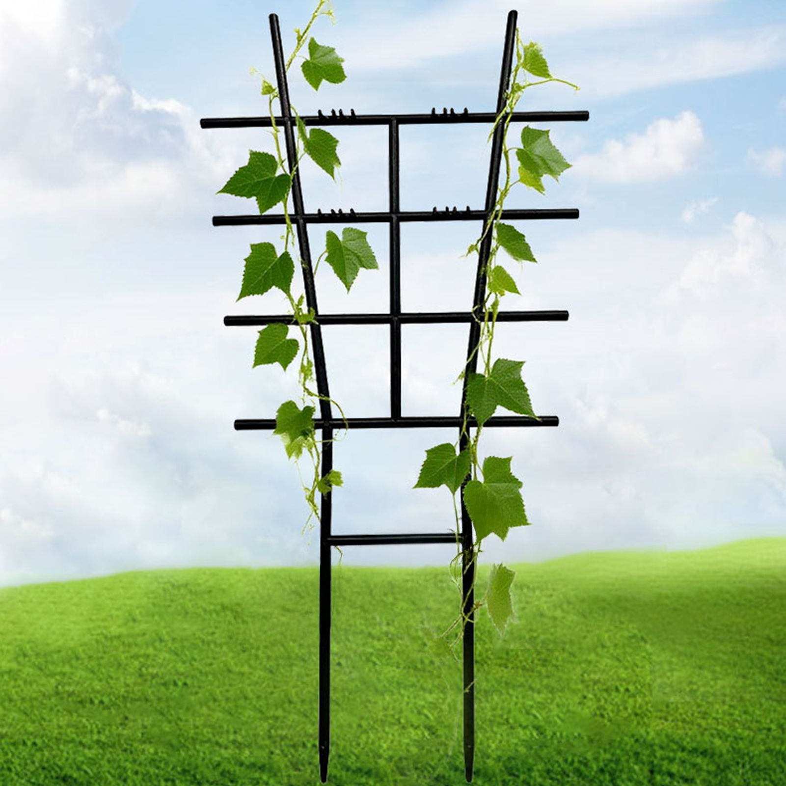 Plastic Climbing Plant Trellis - Variegated Monstera Node บทวิจารณ์และราคา