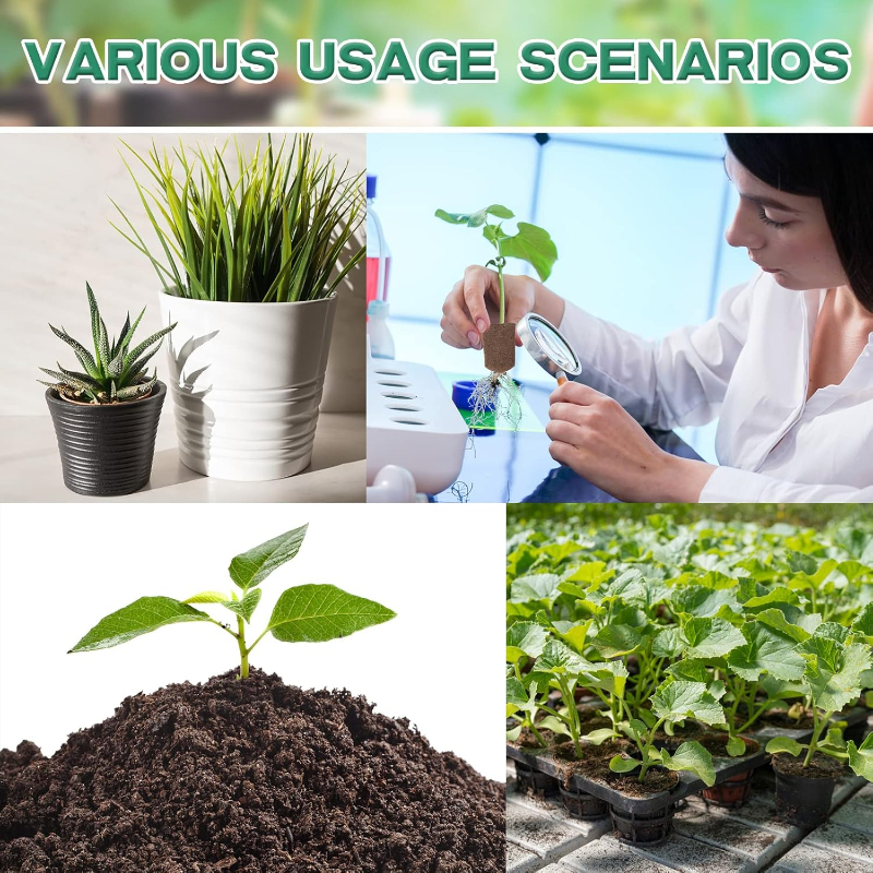 20pc/40pc Hydroponic Sponge Pl - Plant Parent Kit บทวิจารณ์และราคา