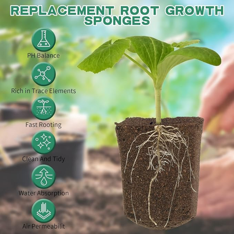 20pc/40pc Hydroponic Sponge Pl - Plant Parent Kit บทวิจารณ์และราคา