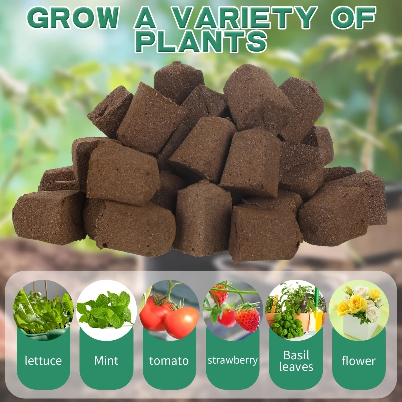 20pc/40pc Hydroponic Sponge Pl - Plant Parent Kit บทวิจารณ์และราคา
