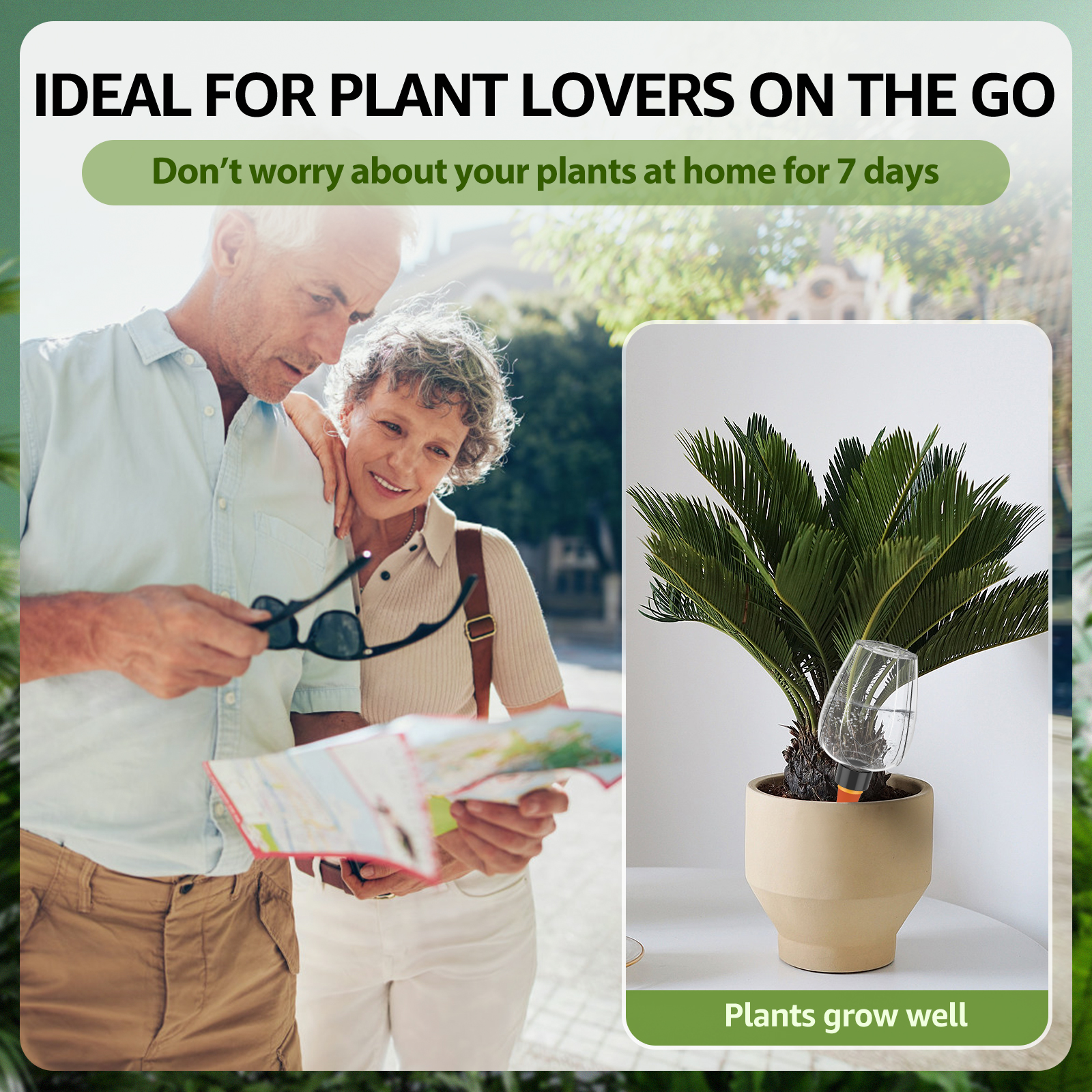 4Pcs Plant Watering Balls 350M - Plant Parent Kit บทวิจารณ์และราคา