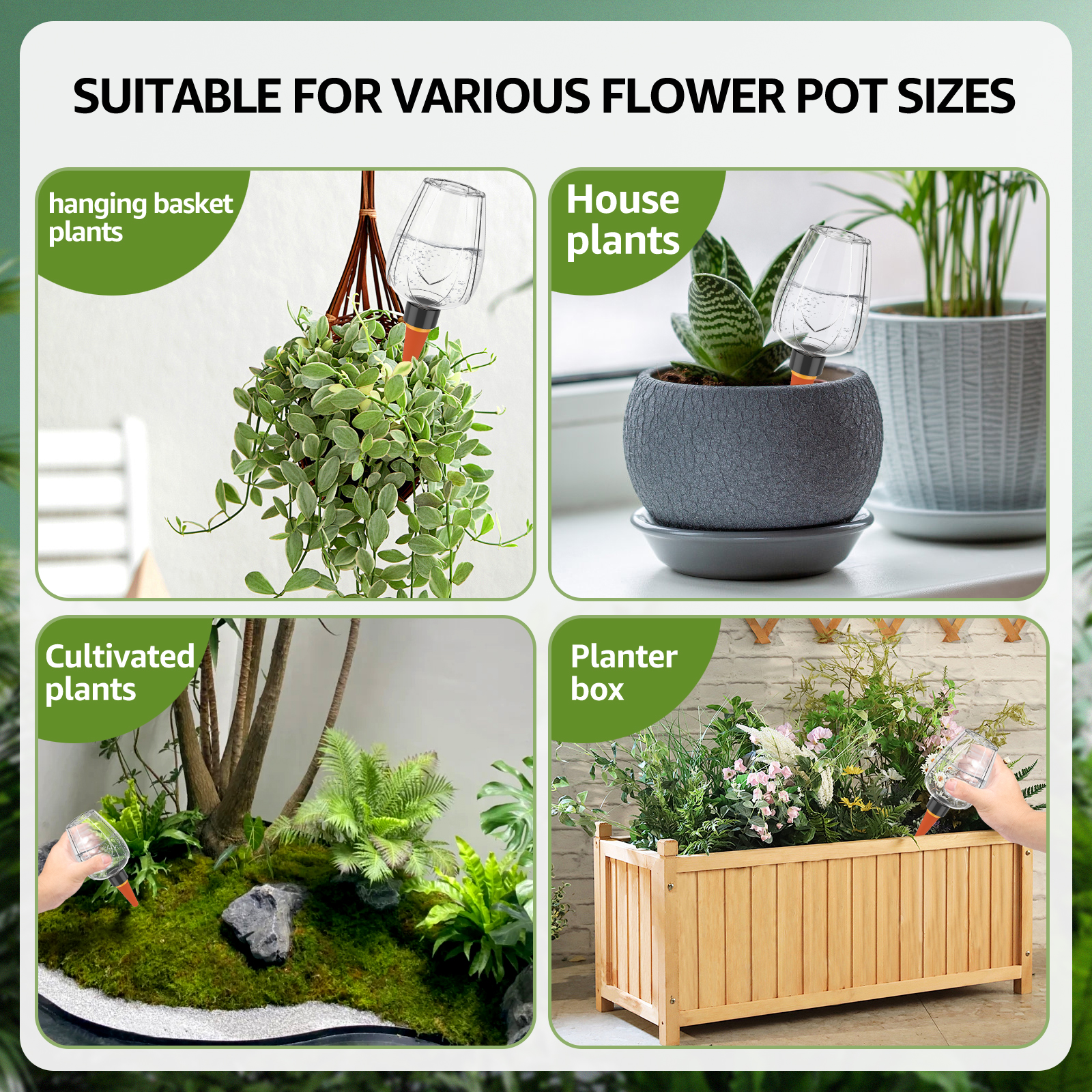 4Pcs Plant Watering Balls 350M - Plant Parent Kit บทวิจารณ์และราคา