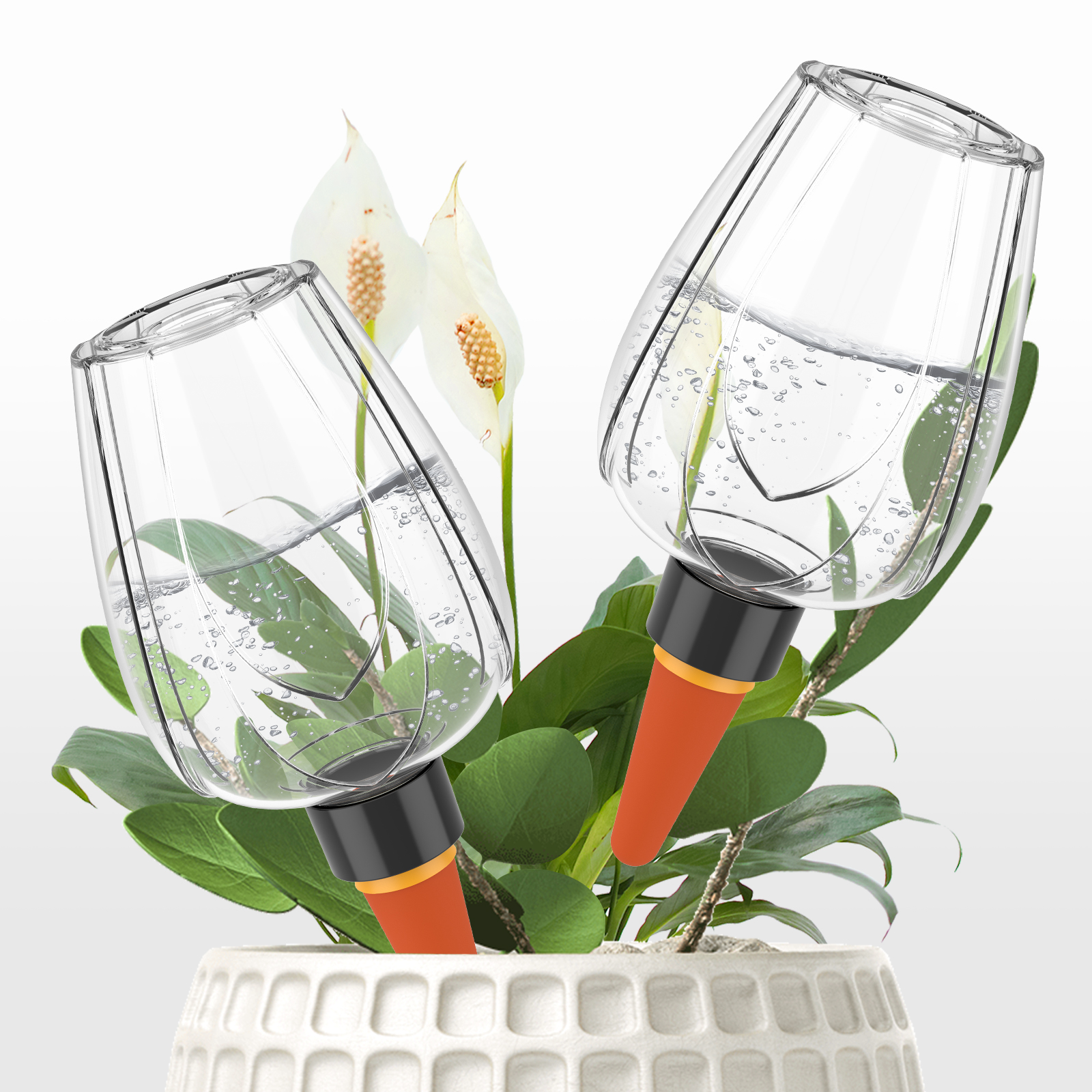 4Pcs Plant Watering Globe Clea - Plant Parent Kit บทวิจารณ์และราคา