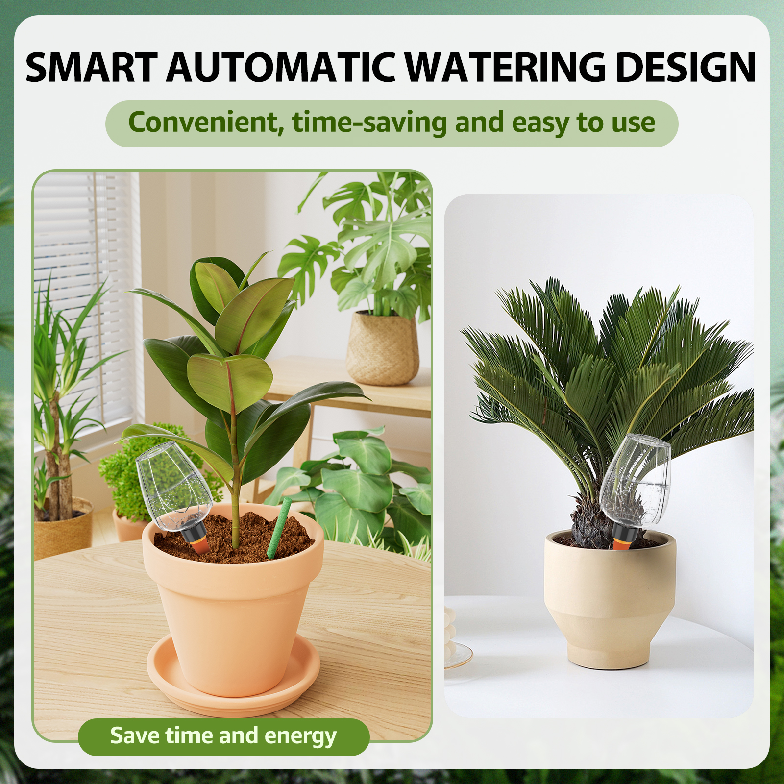 4Pcs Plant Watering Globe Clea - Plant Parent Kit บทวิจารณ์และราคา