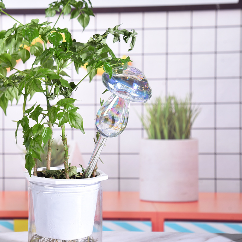 1/2PCS Glass Straw Automatic P - Plant Parent Kit บทวิจารณ์และราคา