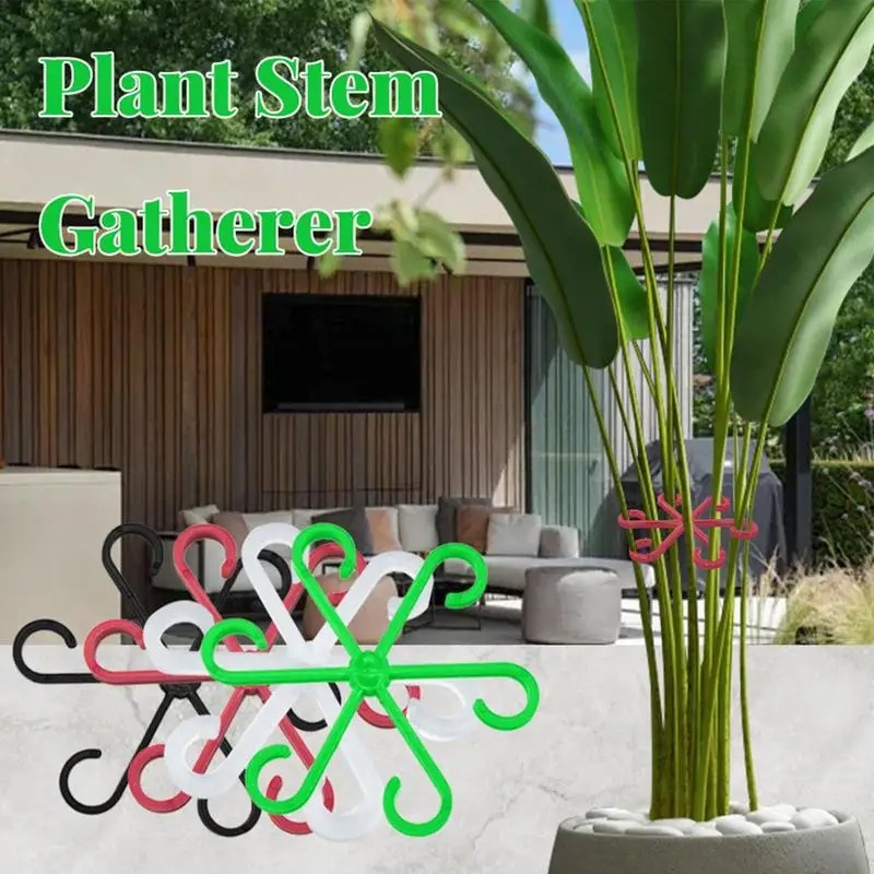 4pcs Climbing Plants Support C - Variegated Monstera Node บทวิจารณ์และราคา