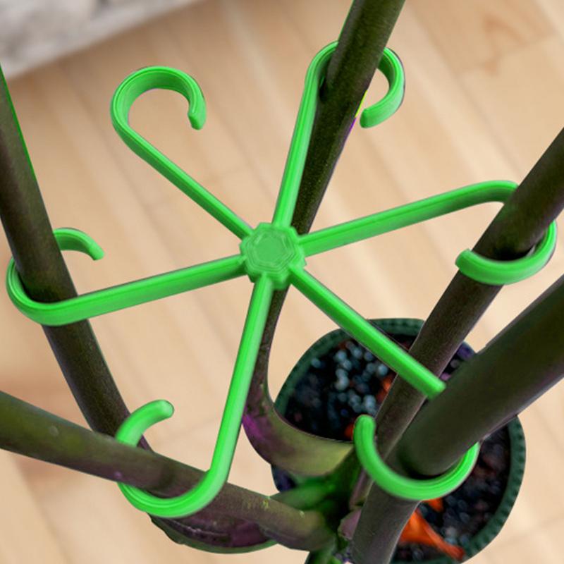 4pcs Climbing Plants Support C - Variegated Monstera Node บทวิจารณ์และราคา