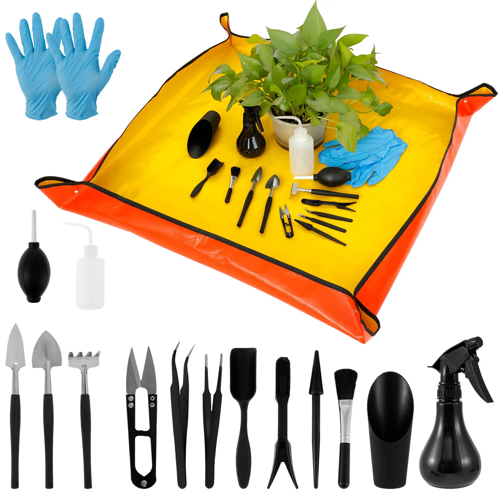 13/16Pcs Garden Succulent Plan - Plant Parent Kit บทวิจารณ์และราคา