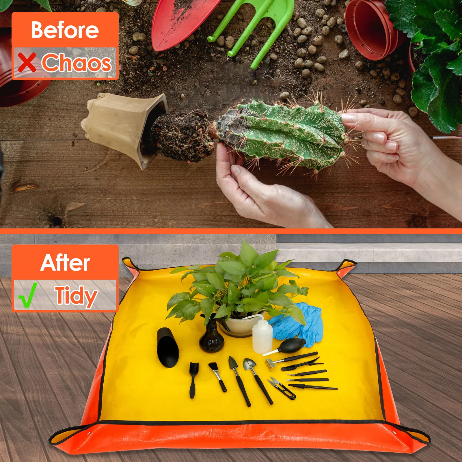 13/16Pcs Garden Succulent Plan - Plant Parent Kit บทวิจารณ์และราคา