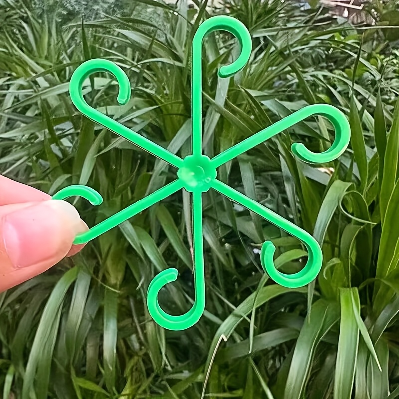 4pcs Climbing Plants Support C - Variegated Monstera Node บทวิจารณ์และราคา