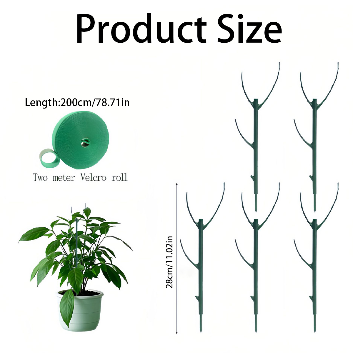 6 PCS Monstera Plant Support S - Variegated Monstera Node บทวิจารณ์และราคา
