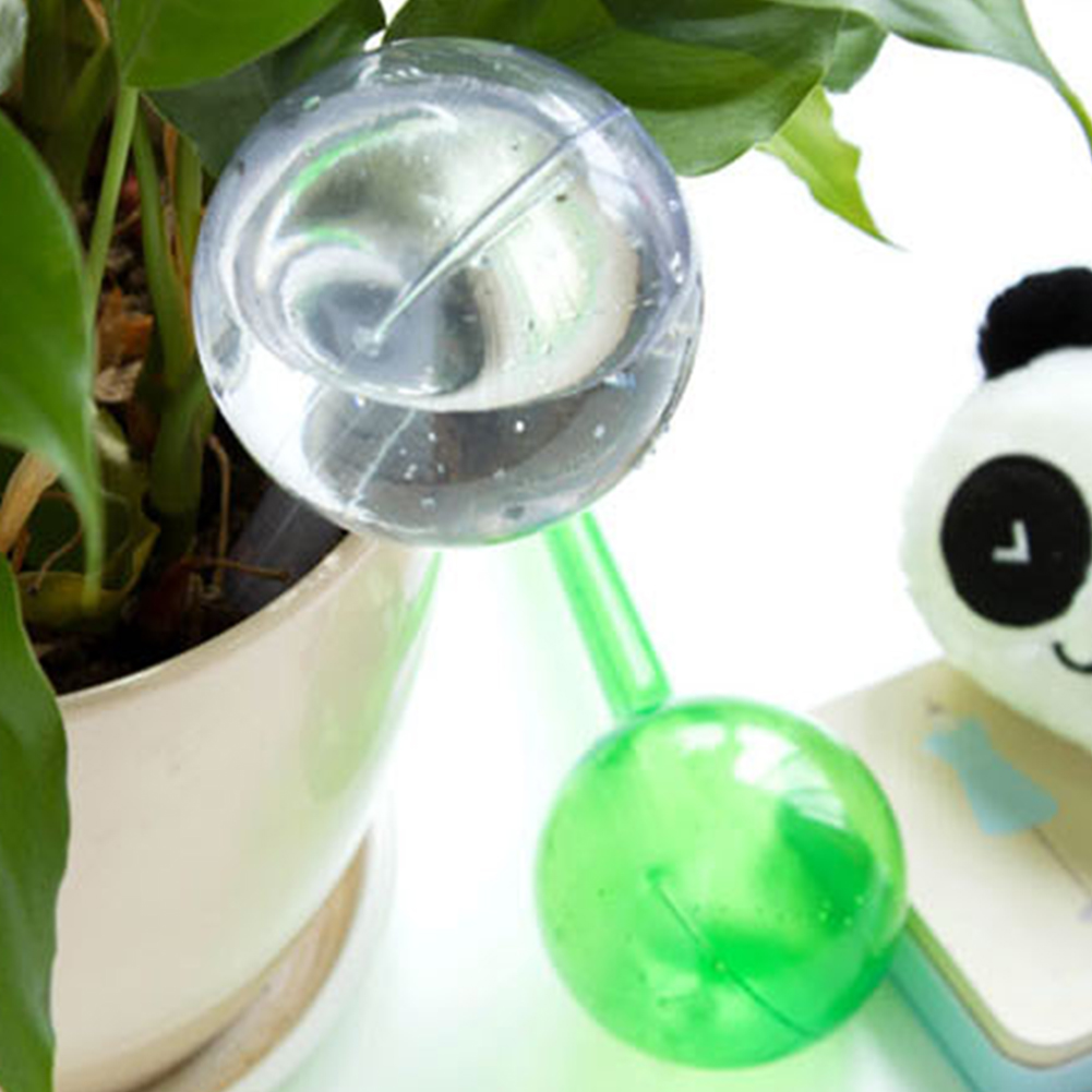Automatic Plant Watering Bulbs - Plant Parent Kit บทวิจารณ์และราคา