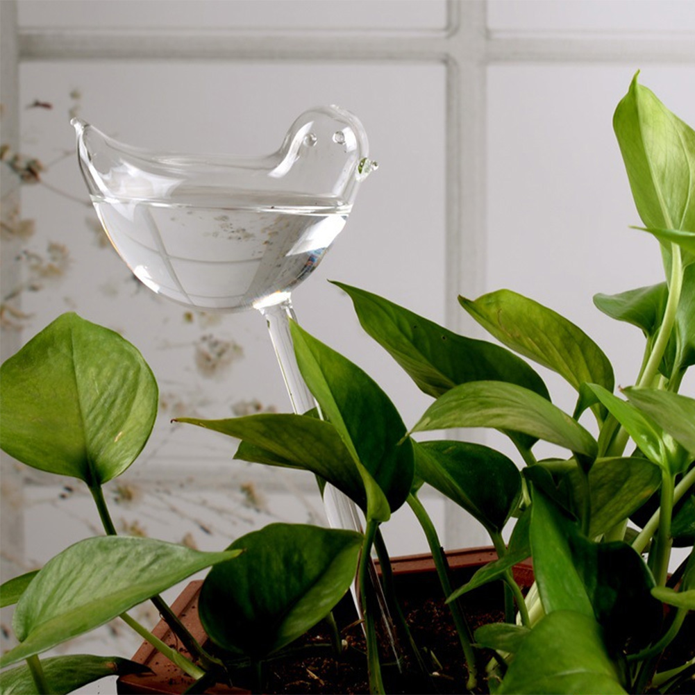 Automatic Plant Watering Bulbs - Plant Parent Kit บทวิจารณ์และราคา