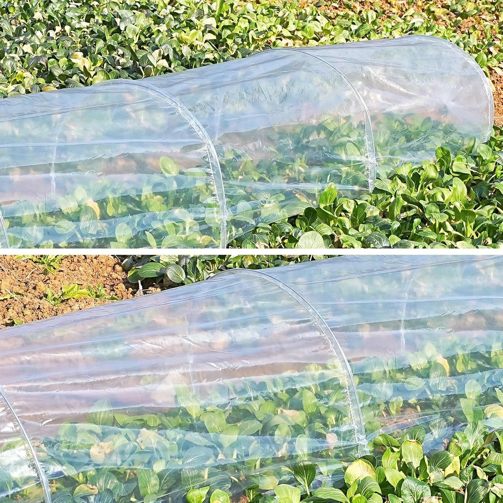 2 in 1 Greenhouse Tunnel Green - Plant Parent Kit บทวิจารณ์และราคา