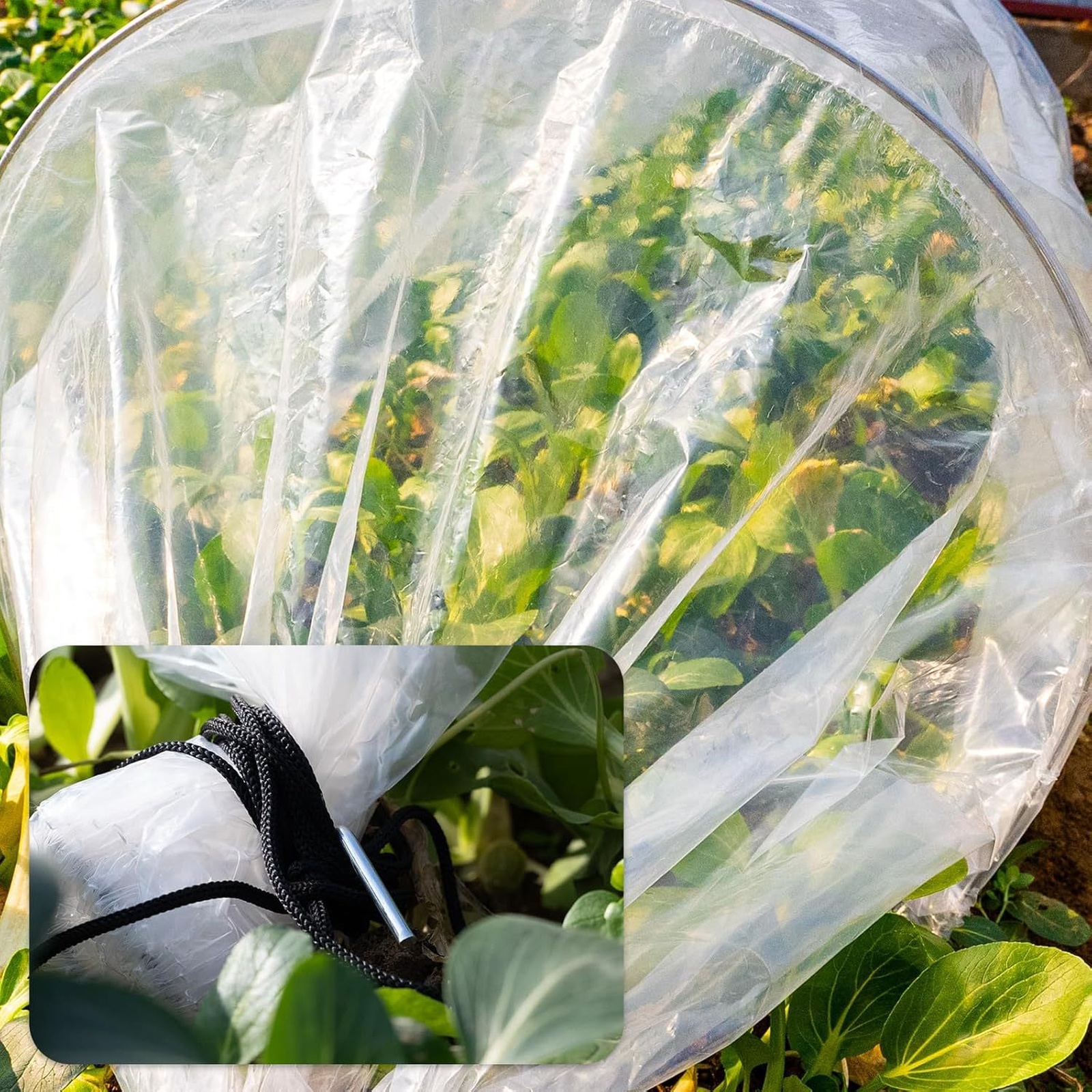 2 in 1 Greenhouse Tunnel Green - Plant Parent Kit บทวิจารณ์และราคา