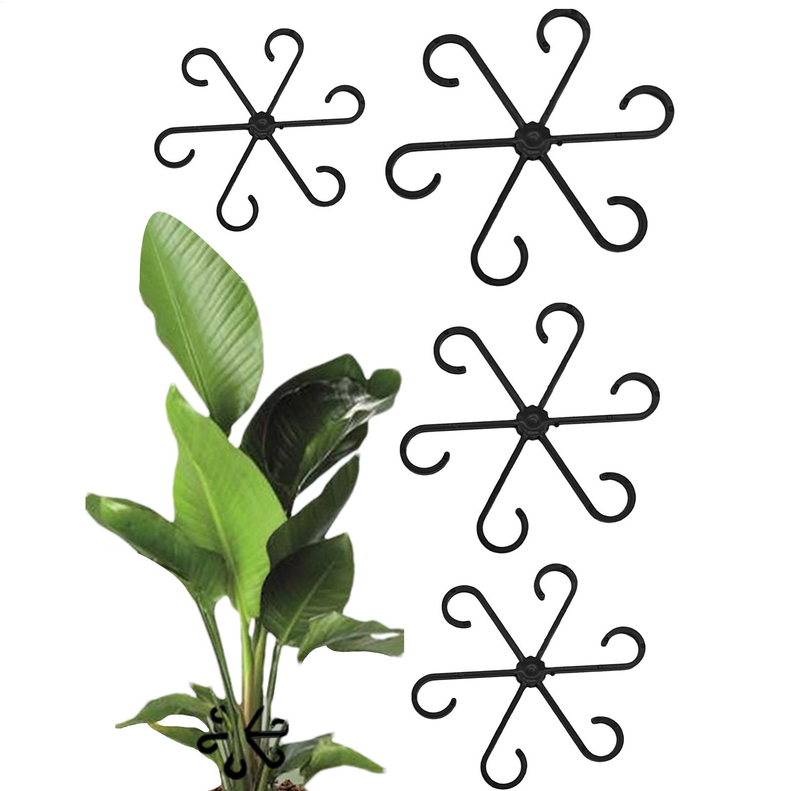 Plant Support 4PCS Climbing Pl - Variegated Monstera Node บทวิจารณ์และราคา