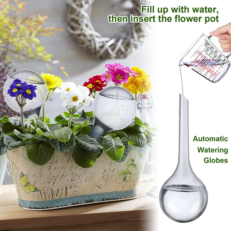 5/10PCS Automatic Plant Wateri - Plant Parent Kit บทวิจารณ์และราคา