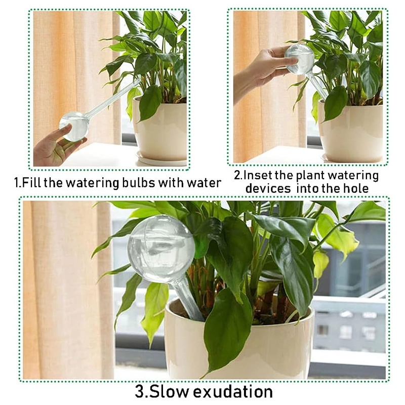 5/10PCS Automatic Plant Wateri - Plant Parent Kit บทวิจารณ์และราคา