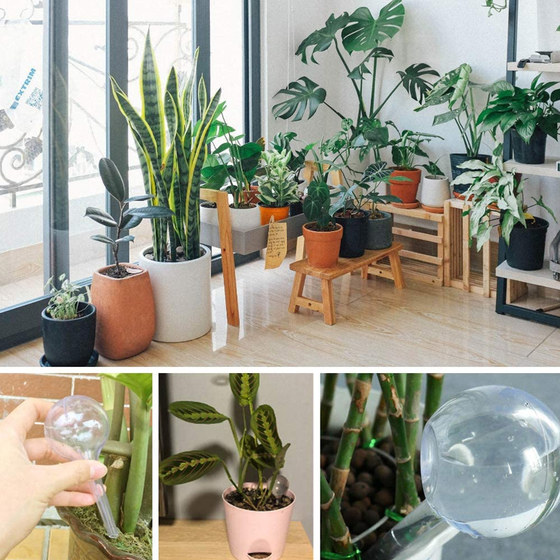 5/10PCS Automatic Plant Wateri - Plant Parent Kit บทวิจารณ์และราคา